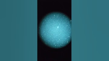 crab nebula with visitor