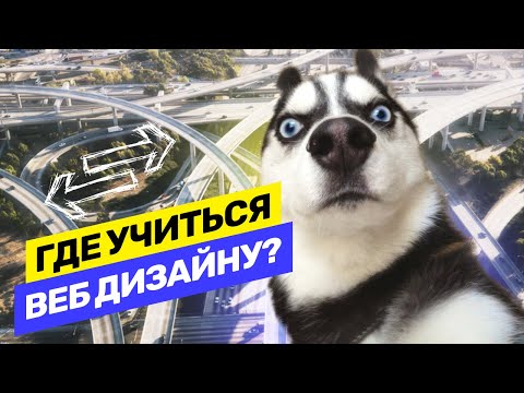 Где учиться на веб или UI/UX дизайнера? ВУЗ или онлайн-школы? Нужно ли образование? @vadilyin