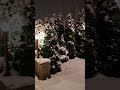 BREGENZ AUSTRIA NOVEMBER EVENING SNOW❄❄❄❄❄❄❄ NOVEMBER 21, 2024