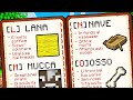 A, B, C di MINECRAFT nella LINGUA DEI PIRATI!