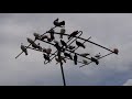 24.05.19. УМНЫЕ ГОЛУБИ ЛЕТЯТ ДОМОЙ.  CLEVER PIGEONS ARE FLYING HOME.