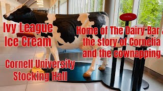 Ice Cream & the Ivy League: The Cornell University Dairy Bar (CALS) Walkthrough