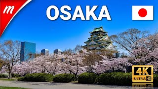 Osaka Castle Nishinomaru Garden Walking