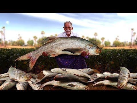 Salmon with Garlic Butter Sauce | Seared Salmon With Lemon Butter Sauce | Grandpa Kitchen
