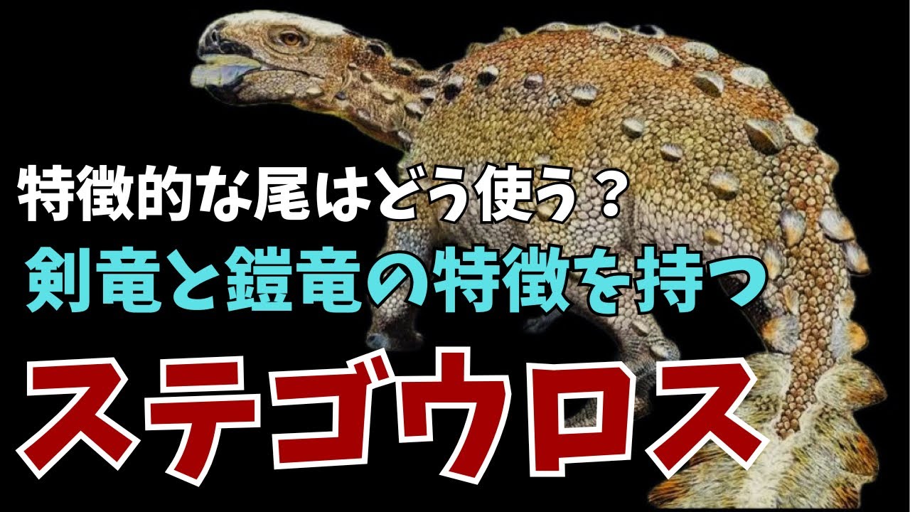 剣竜と鎧竜の特徴を持つステゴウロスとは?特徴的な尾は何に使った? - YouTube