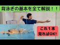 【背泳ぎ全て解説！】この動画一本で背泳ぎの基本を全て解説します！