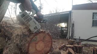 Stihl 009 L test cut