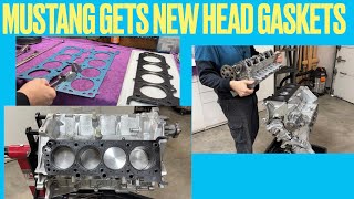 Installing Custom Head Gaskets on the Mustang (Part 14)