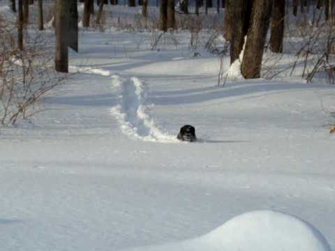 Garnette Meadows Photo 2