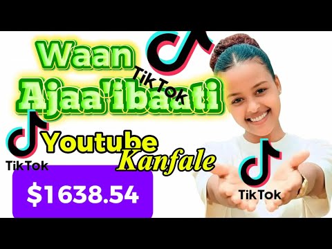 Maallaqa Tiktokitiin Hojjetame Ilaalaa Unitedarabemirates Oromocomedy Unitedstatesofamerica