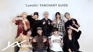 &TEAM 'Lunatic' Fanchant Guide