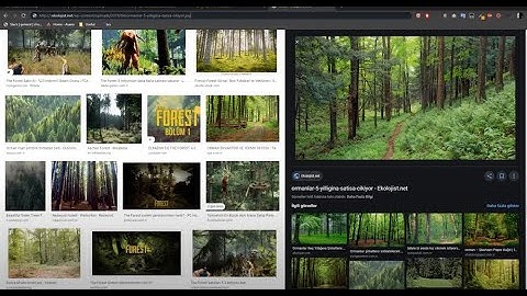 General Recognition API Introduction | Chooch