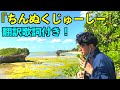 【沖縄民謡】ちんぬくじゅーしー (歌詞、訳付き) / 宜保和也