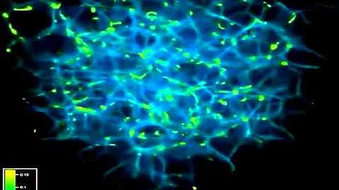 Cosmological Volumetric Simulation [720p],good