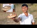  academy      russells viper snake subscribe my channel 