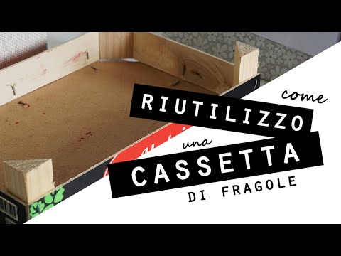 Come RIUTILIZZO una CASSETTA DI LEGNO delle fragole/Idee FAI DA TE per la CASA