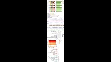 Step 1 Genome  wide Analysis   Sequence Retrieval from Genome database