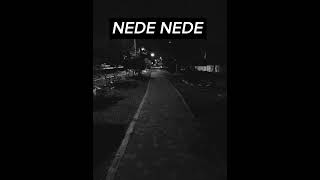 NEDE NEDE slowed+reverb
