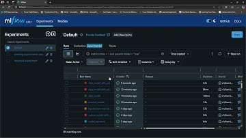 24. MLflow Models, Custom Models with Signature.