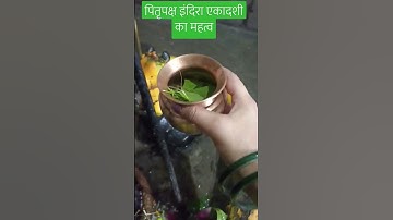 Ekadashi ke upay pradeep mishra | पितृपक्ष इंदिरा एकादशी | #shortvideo