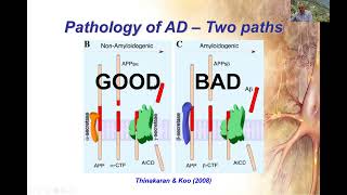 Genetics in Dementia Diagnosis – Current and Future Perspectives