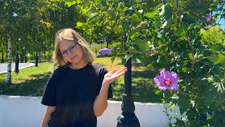 видео: ВЛОГ Девочки в 12 лет … Как родители могут ТАКОЕ ДОПУСКАТЬ? Алиса до сих пор болеет / Еду на маникюр картинка: ВЛОГ Девочки в 12 лет … Как родители могут ТАКОЕ ДОПУСКАТЬ? Алиса до сих пор болеет / Еду на маникюр