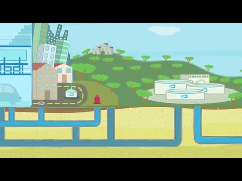 Vídeo: El cicle de l'aigua forma part de l'ecologia?