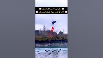 كل نفس ذائقة الموت عبدالرحمن مسعد #عبدالرحمن_مسعد #عبدالرحمن_مسعد_تلاوة_جديدة #koran #quran