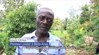 Amélioration des pratiques agricoles pour faire face aux changements climatiques en Haïti.