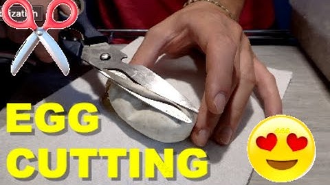 Ball Python Egg Cutting! Future Ultramel Clowns!