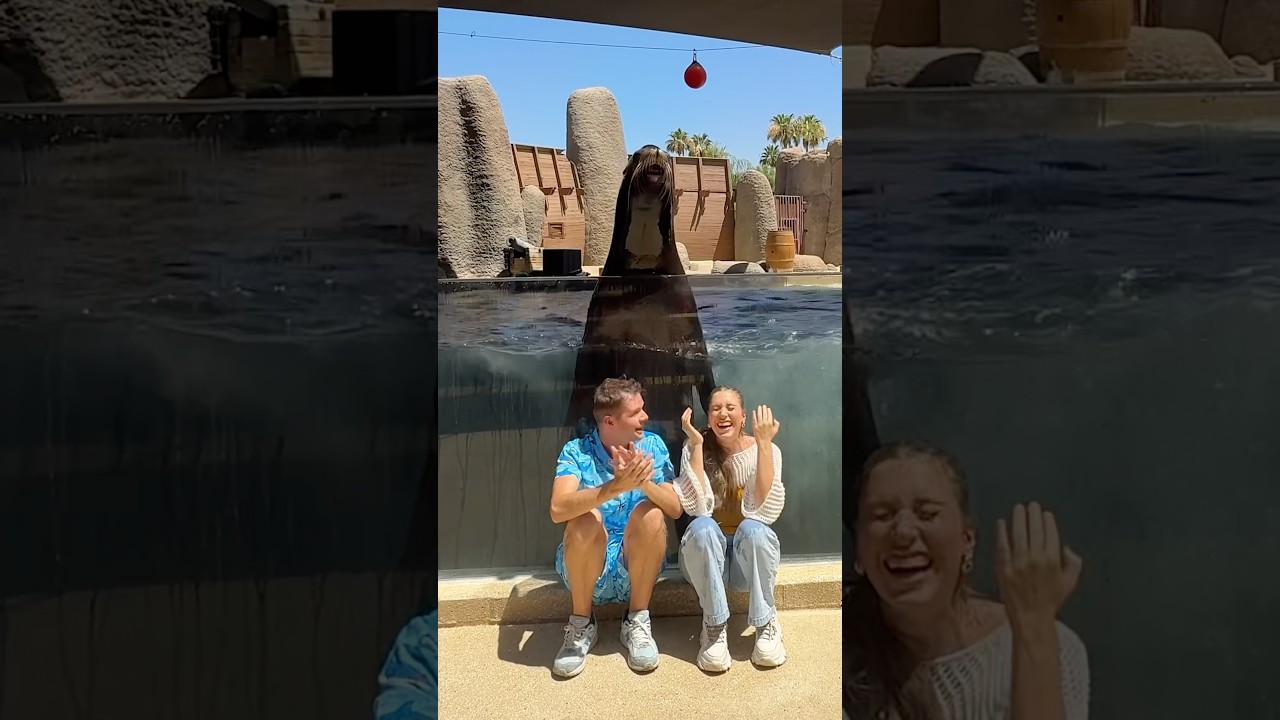 If you love him then you have liked and subscribed 🤣