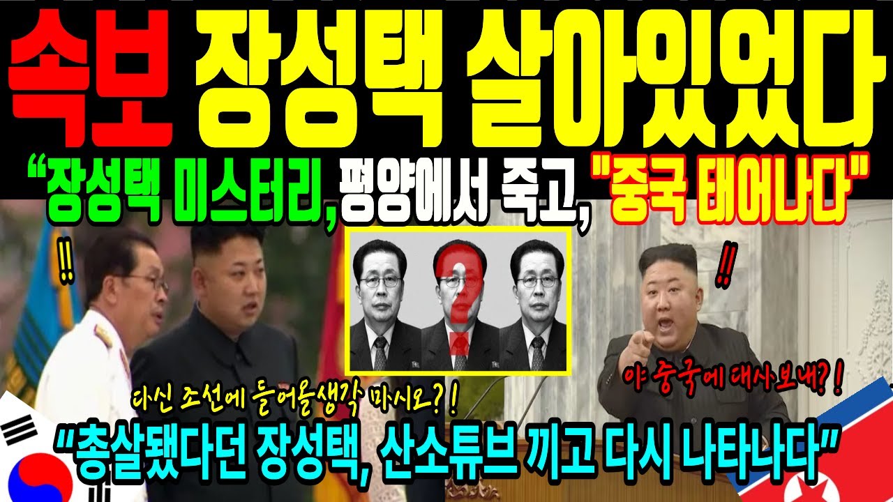 “이미 처형된 줄 알았다”｜충격 북한 2인자 장성택 국정원도 모르는 비밀 탈북 루트