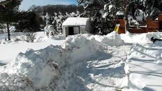 Lempicki's House Blizzard 2010.avi
