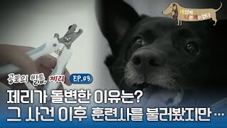 세상에 나쁜 개는 없다  공포의 발톱, 제리를 도와줘!_#003