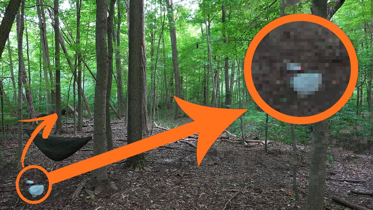 Hidden Cam - Woods 11