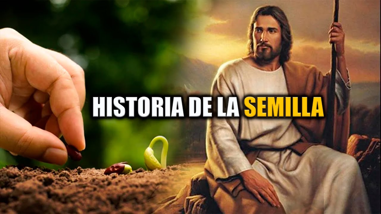 JESUS CUENTA LA HISTORIA DE LA SEMILLA EXPLICADO - YouTube