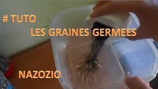 # Tuto: comment faire germer les graines pour vos oiseaux