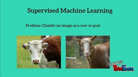 Data Science in 90 seconds, Lesson 2: Supervised Machine Learning