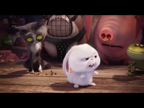 Comme Des Bêtes "Joyeuses Pâques" VF [Au cinéma le 27 Juillet 2016]