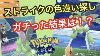 ストライク色違い探し レイドもタスクも野生も ポケモンgo Youtube ストライク色違い探し レイドもタスクも野生も ポケモンgo Youtube
