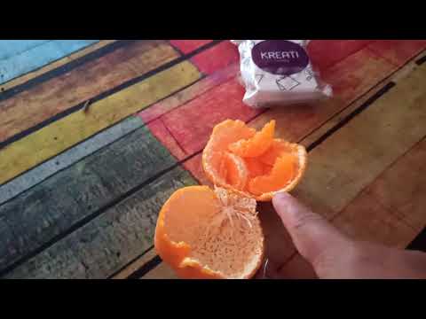 Semai Biji Benih Limau Mandarin | How to Grow Mandarin from Seeds