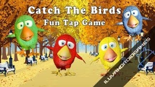 Catch The Birds - Fun Tap Game Gameplay screenshot 1