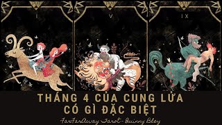 Chọn Tụ Bài Tarot: Tháng 4 Của Cung Lửa Có Gì Đặc Biệt