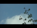 Touch Sleeping At Last Micro Music Video Touch Sleeping At Last Micro Music Video