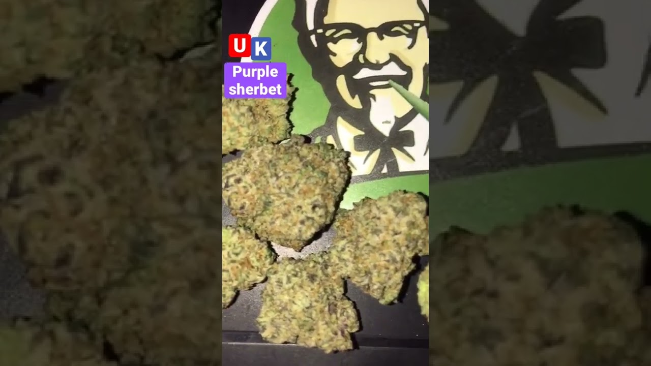 Uk Cali purple sherbet | Balaclavabuds
