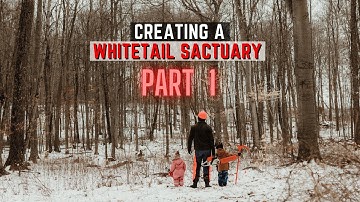 Creating A Whitetail Sanctuary - Part 1 - Preparation