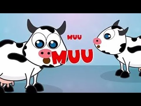Video: Nuo Kokio Amžiaus Kūdikiui Galima Duoti Karvės Pieno?