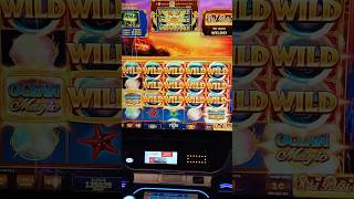 Slot Machine "Gone Wild" 🤣 #casino #howto #win #slots #advantage #play #money #winning #strategy #ap screenshot 3