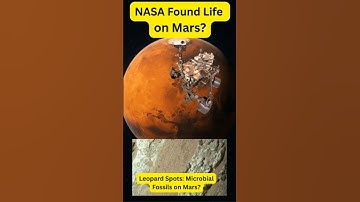 Life on Mars? NASA Rover ने 3.5 Billion-Year-Old Clues खोजे | Leopard Spots #Shorts