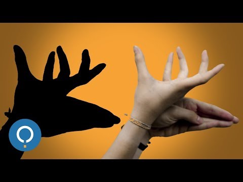 How to make Shadow Animals with your Hands